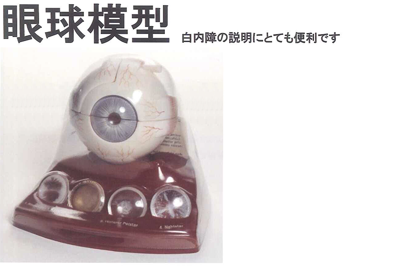 CLA眼球模型